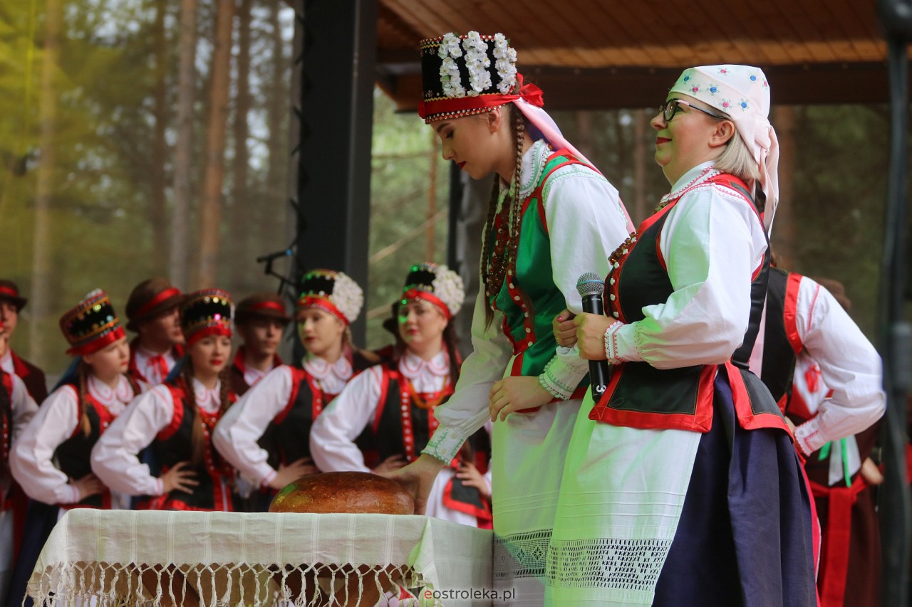 Wesele Kurpiowskie 2023 [18.06.2023] - zdjęcie #9 - eOstroleka.pl