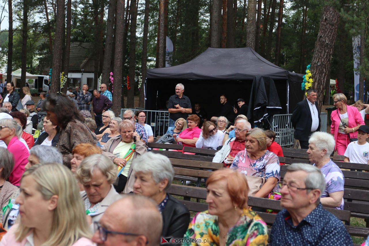 Wesele Kurpiowskie 2023 [18.06.2023] - zdjęcie #253 - eOstroleka.pl
