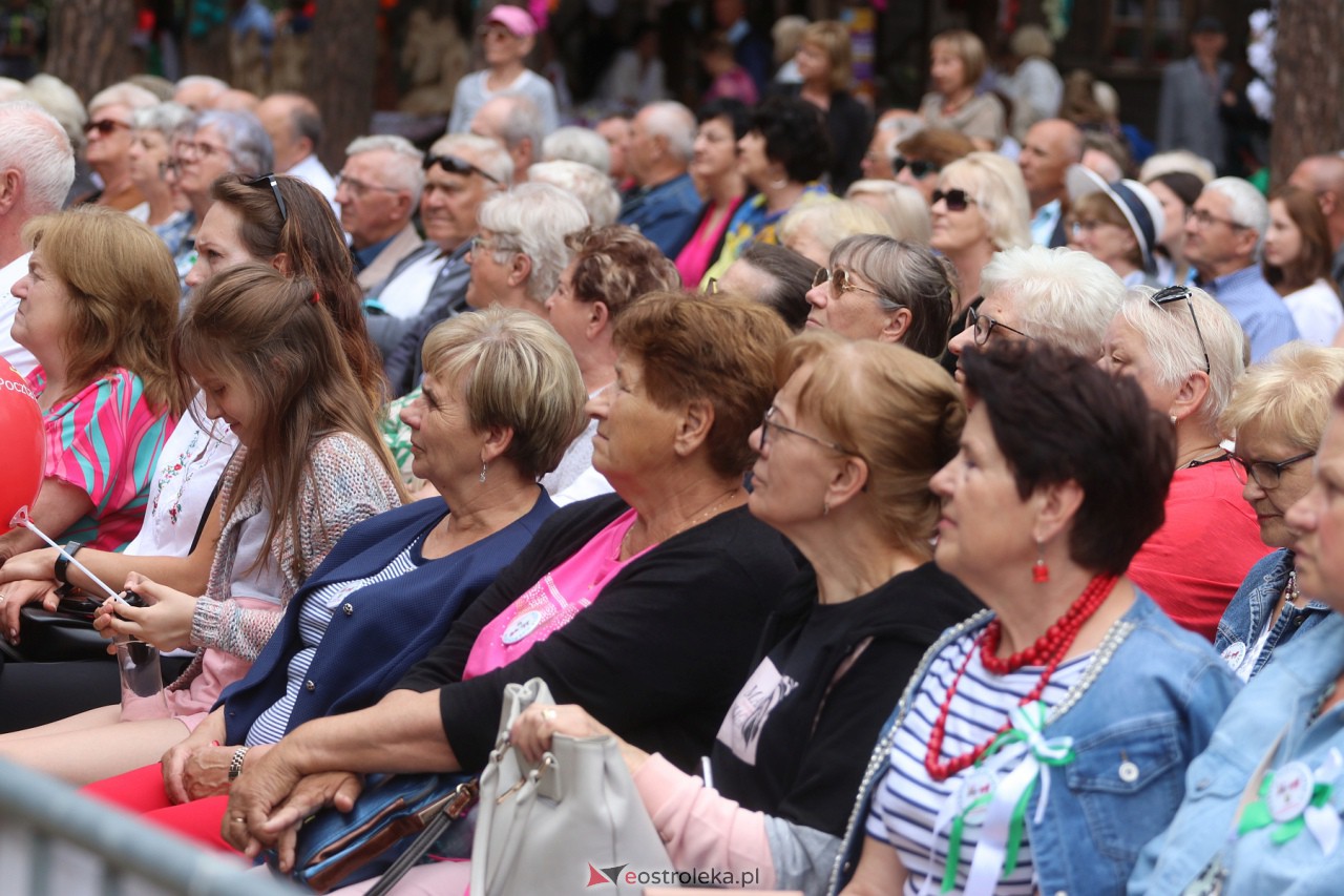 Wesele Kurpiowskie 2023 [18.06.2023] - zdjęcie #238 - eOstroleka.pl
