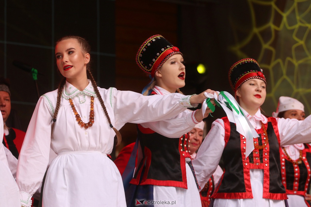 Wesele Kurpiowskie 2023 [18.06.2023] - zdjęcie #213 - eOstroleka.pl