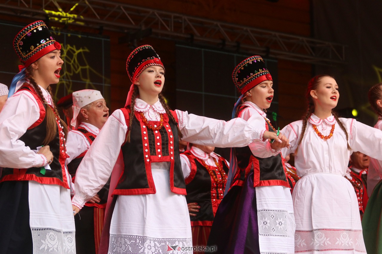 Wesele Kurpiowskie 2023 [18.06.2023] - zdjęcie #210 - eOstroleka.pl