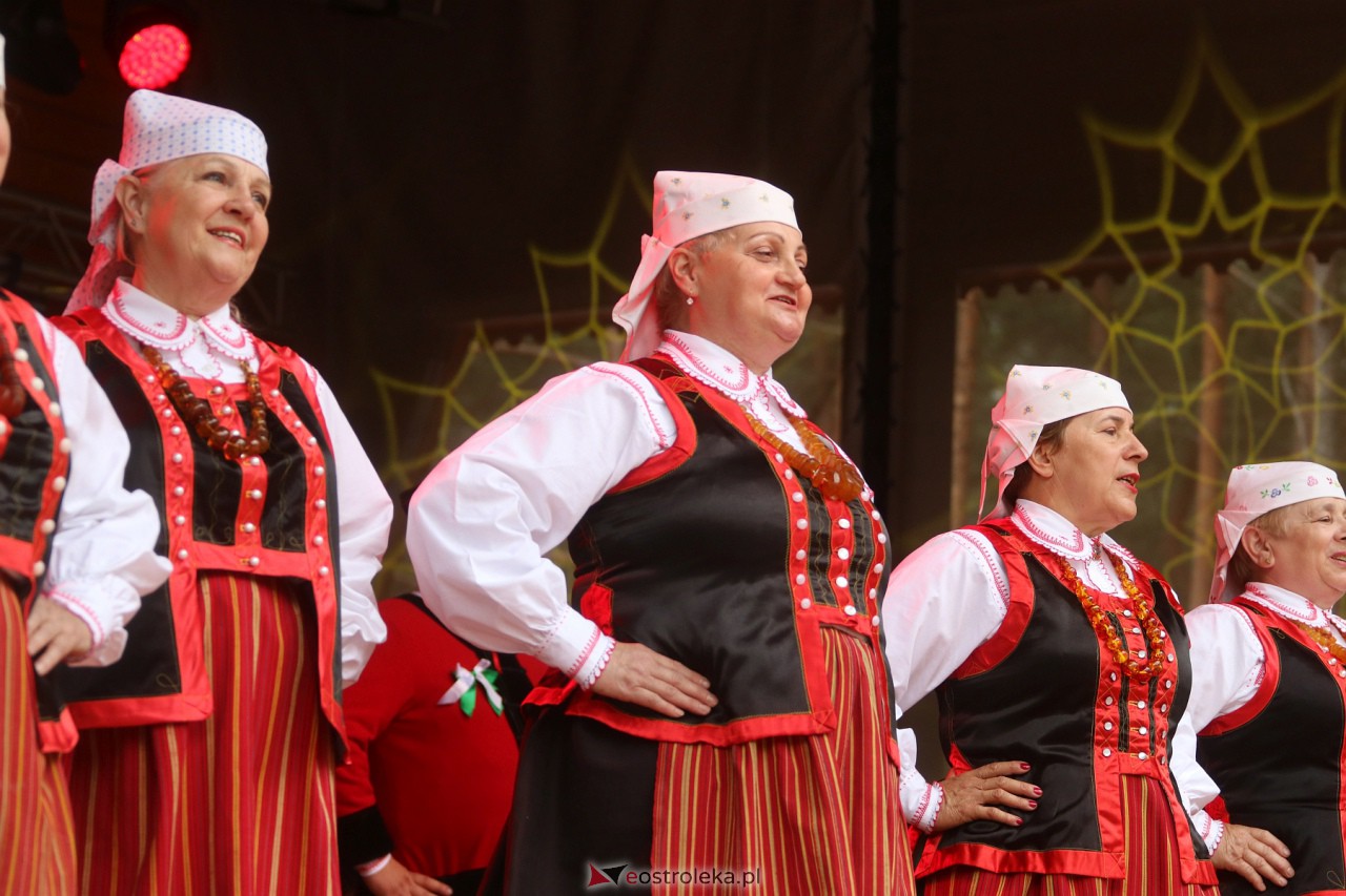 Wesele Kurpiowskie 2023 [18.06.2023] - zdjęcie #171 - eOstroleka.pl