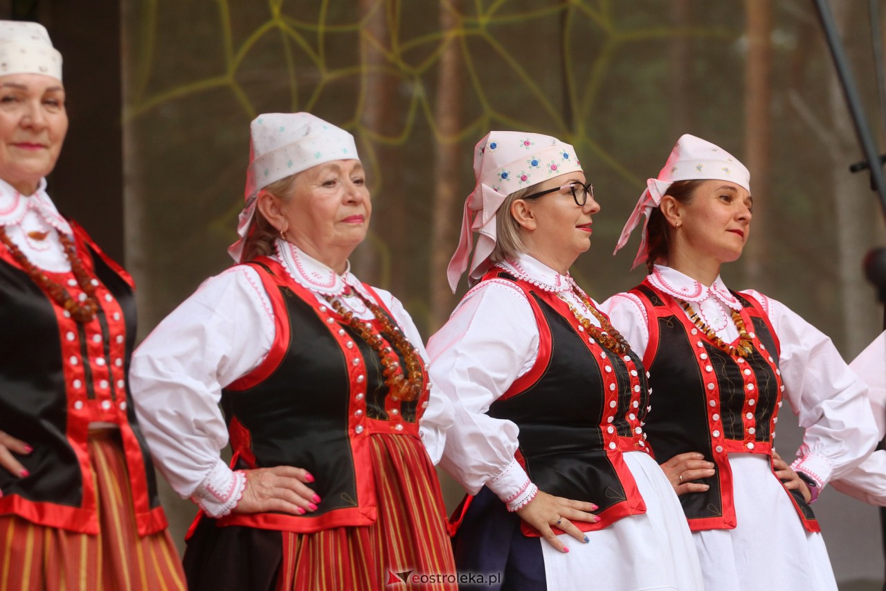 Wesele Kurpiowskie 2023 [18.06.2023] - zdjęcie #167 - eOstroleka.pl