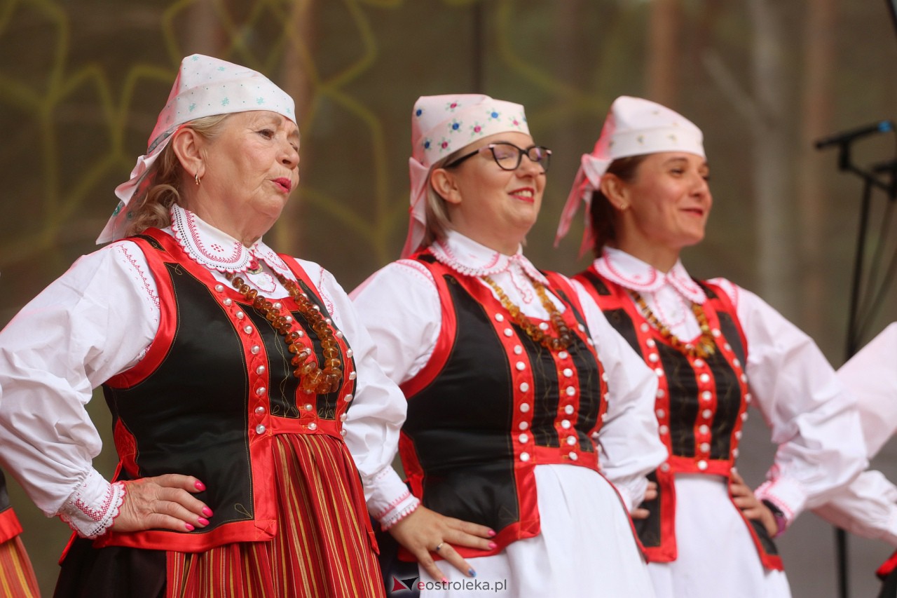 Wesele Kurpiowskie 2023 [18.06.2023] - zdjęcie #165 - eOstroleka.pl