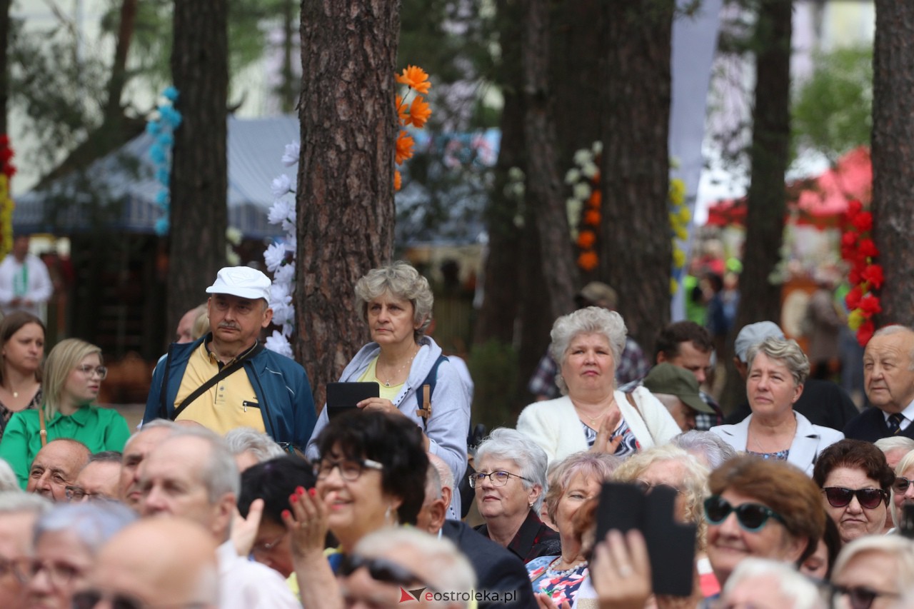 Wesele Kurpiowskie 2023 [18.06.2023] - zdjęcie #155 - eOstroleka.pl