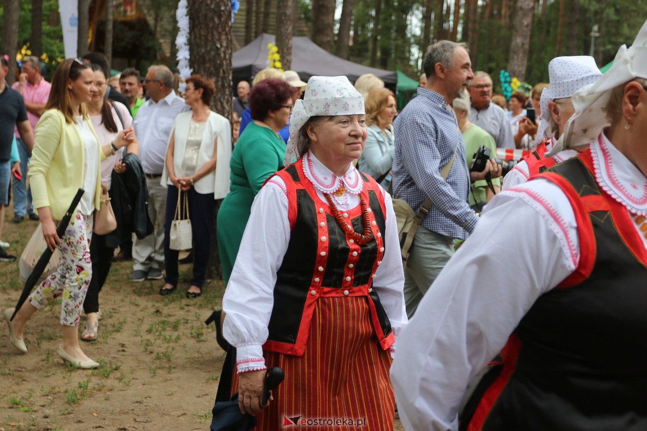 Wesele Kurpiowskie 2023 [18.06.2023] - zdjęcie #86 - eOstroleka.pl