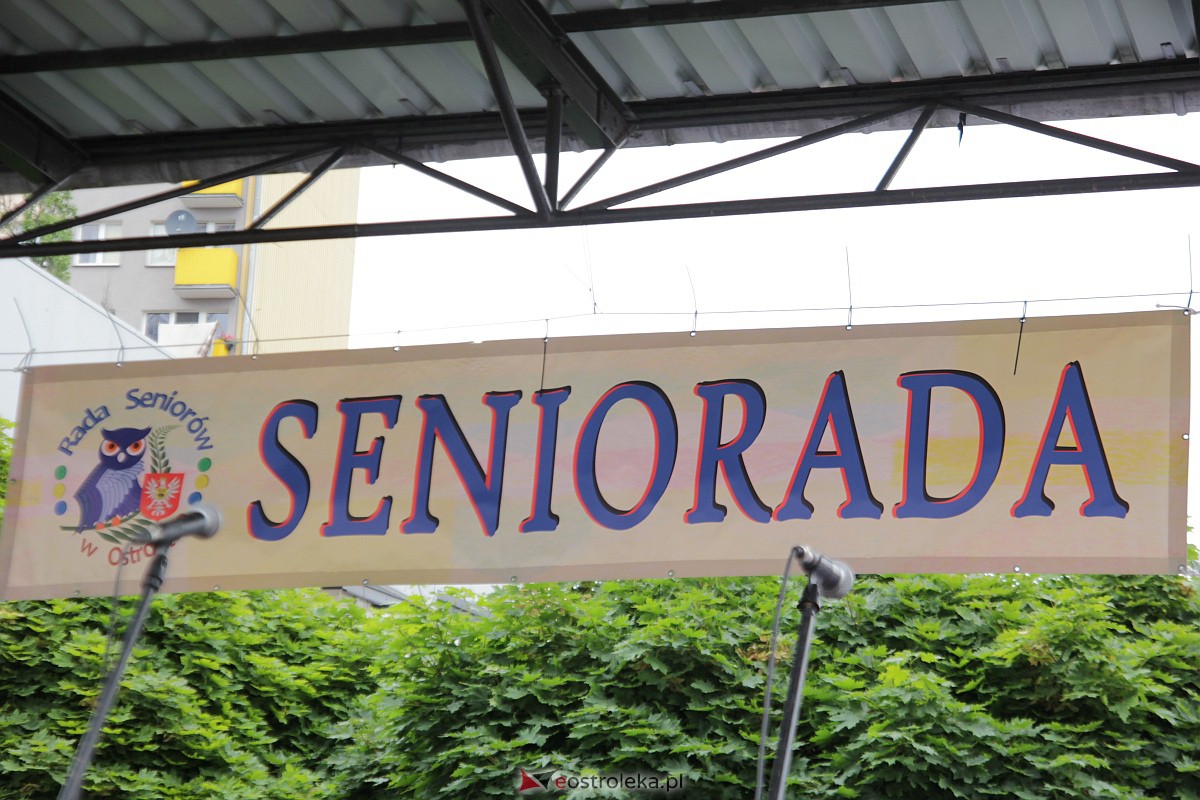 Seniorada 2023 [18.06.2023] - zdjęcie #225 - eOstroleka.pl