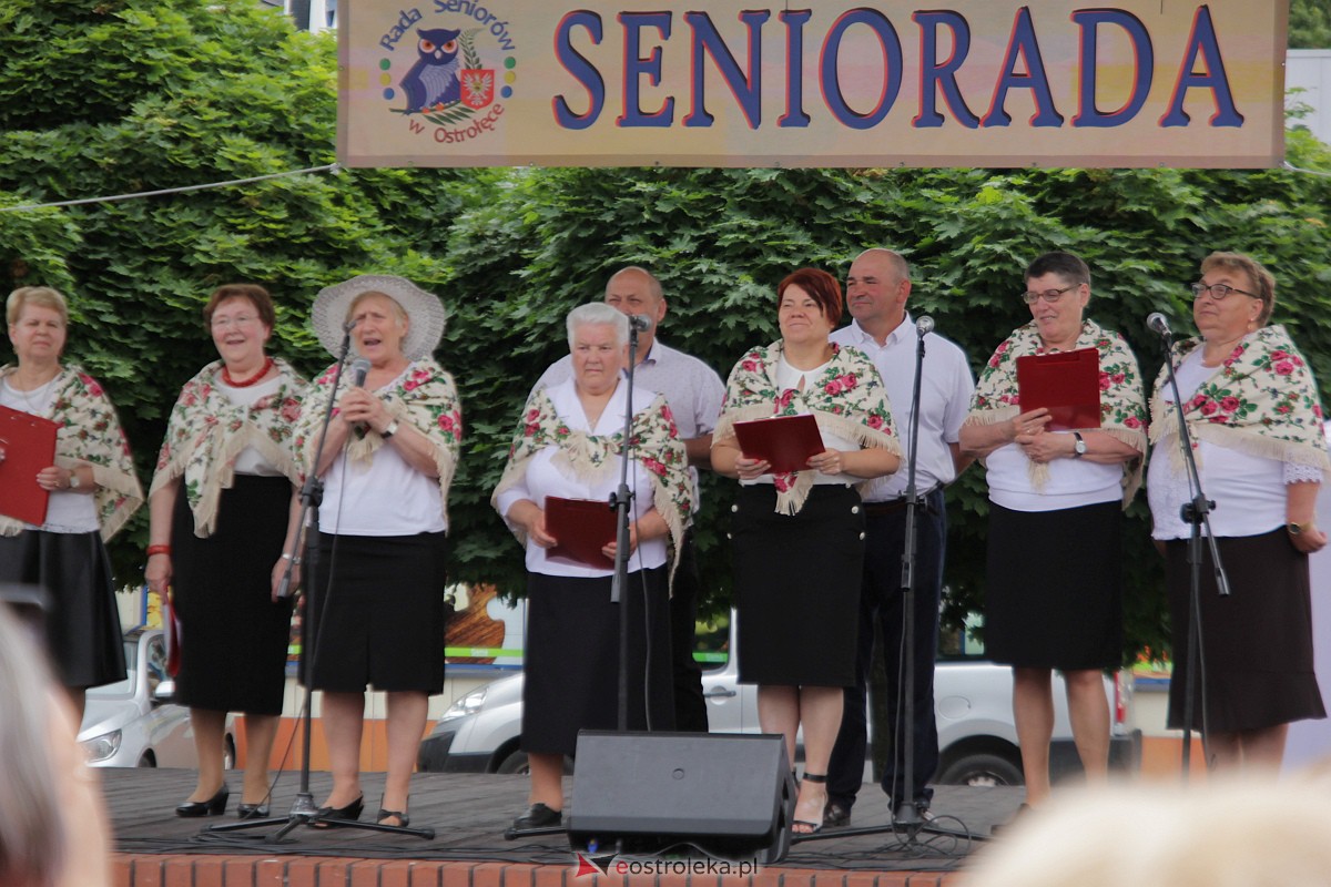 Seniorada 2023 [18.06.2023] - zdjęcie #120 - eOstroleka.pl