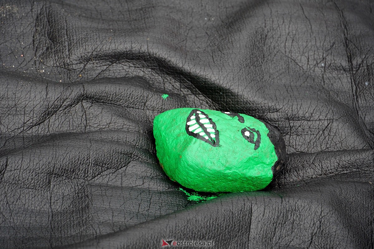 Malowanie na kamieniu - Konkurs rodzinny w Janochach [25.06.2023] - zdjęcie #37 - eOstroleka.pl