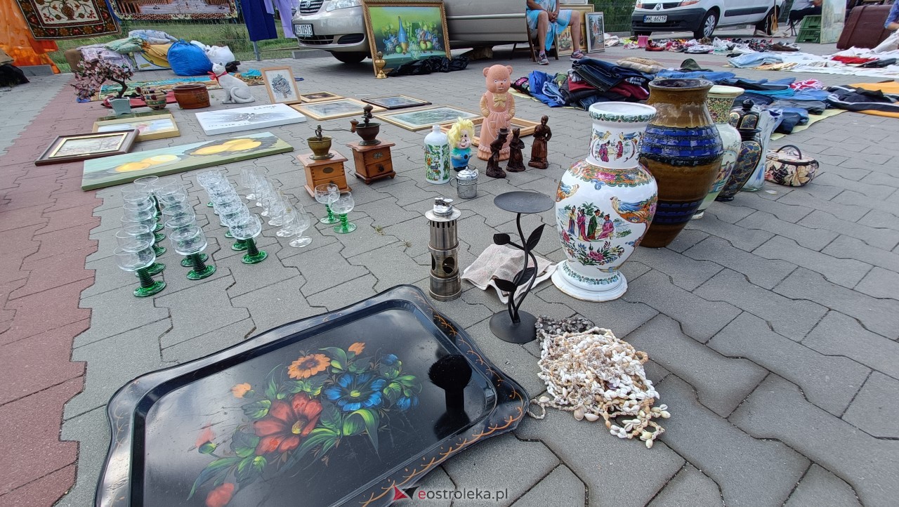 Targi staroci w Goworowie [08.07.2023] - zdjęcie #61 - eOstroleka.pl