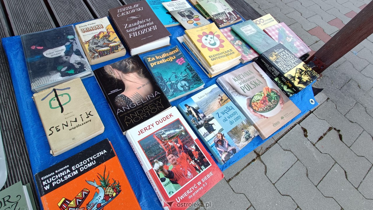 Targi staroci w Goworowie [08.07.2023] - zdjęcie #50 - eOstroleka.pl