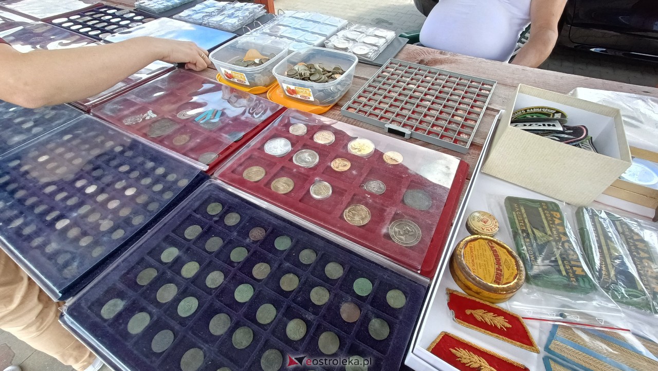 Targi staroci w Goworowie [08.07.2023] - zdjęcie #34 - eOstroleka.pl