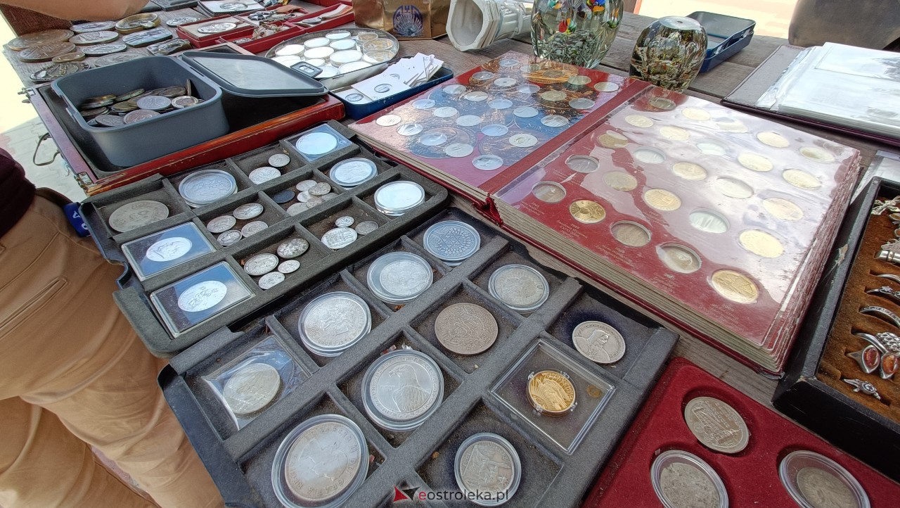 Targi staroci w Goworowie [08.07.2023] - zdjęcie #27 - eOstroleka.pl