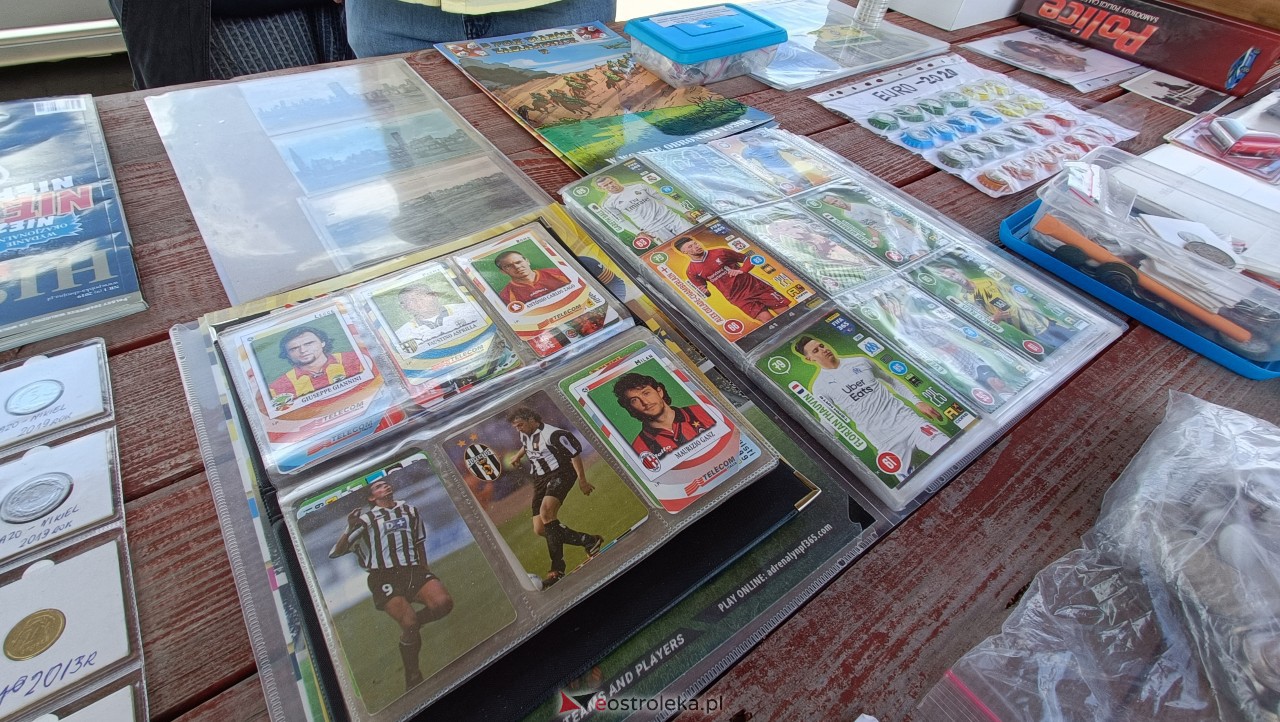 Targi staroci w Goworowie [08.07.2023] - zdjęcie #22 - eOstroleka.pl