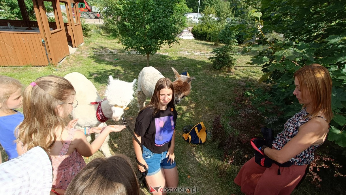 Piknik “Smaki Natury” i zabawa z alpakami [08.07.2023] - zdjęcie #24 - eOstroleka.pl