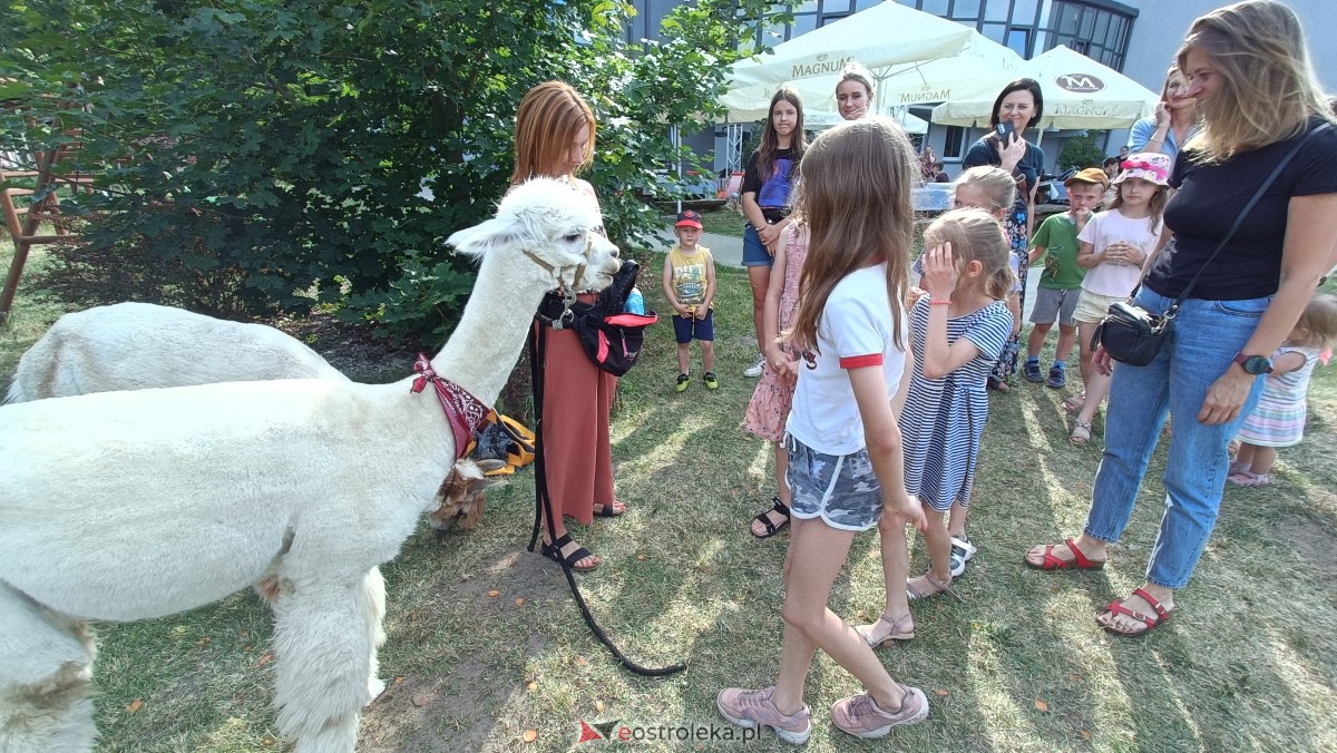 Piknik “Smaki Natury” i zabawa z alpakami [08.07.2023] - zdjęcie #9 - eOstroleka.pl