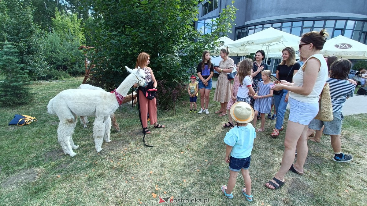 Piknik “Smaki Natury” i zabawa z alpakami [08.07.2023] - zdjęcie #8 - eOstroleka.pl