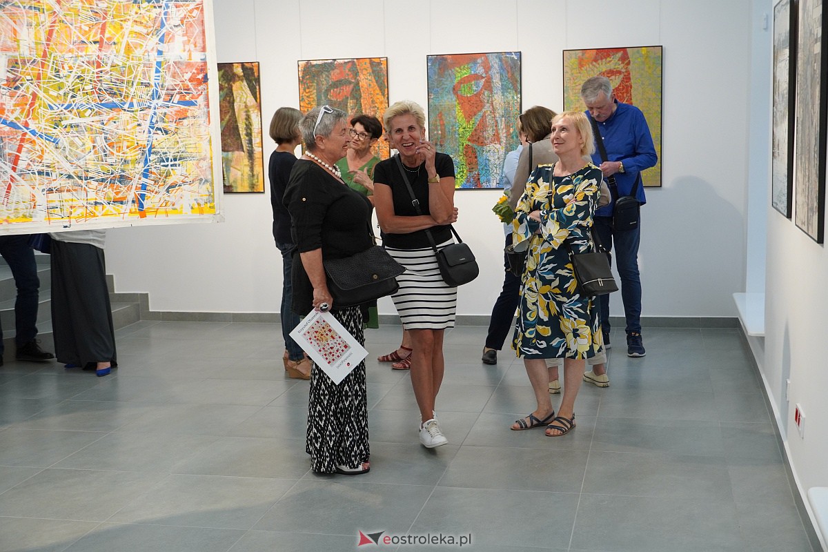 Wernisaż wystawy prac Krzysztofa Olszewskiego (nie)Pewność [13.07.2023] - zdjęcie #26 - eOstroleka.pl