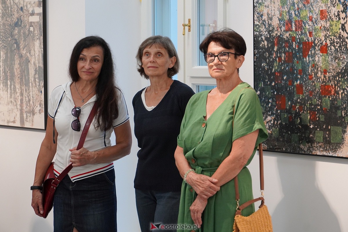 Wernisaż wystawy prac Krzysztofa Olszewskiego (nie)Pewność [13.07.2023] - zdjęcie #16 - eOstroleka.pl