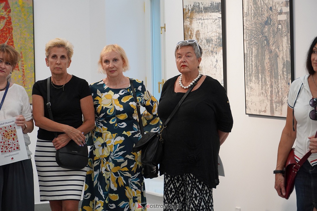 Wernisaż wystawy prac Krzysztofa Olszewskiego (nie)Pewność [13.07.2023] - zdjęcie #15 - eOstroleka.pl