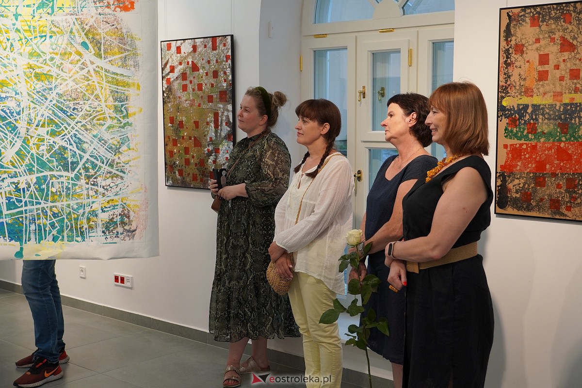 Wernisaż wystawy prac Krzysztofa Olszewskiego (nie)Pewność [13.07.2023] - zdjęcie #11 - eOstroleka.pl