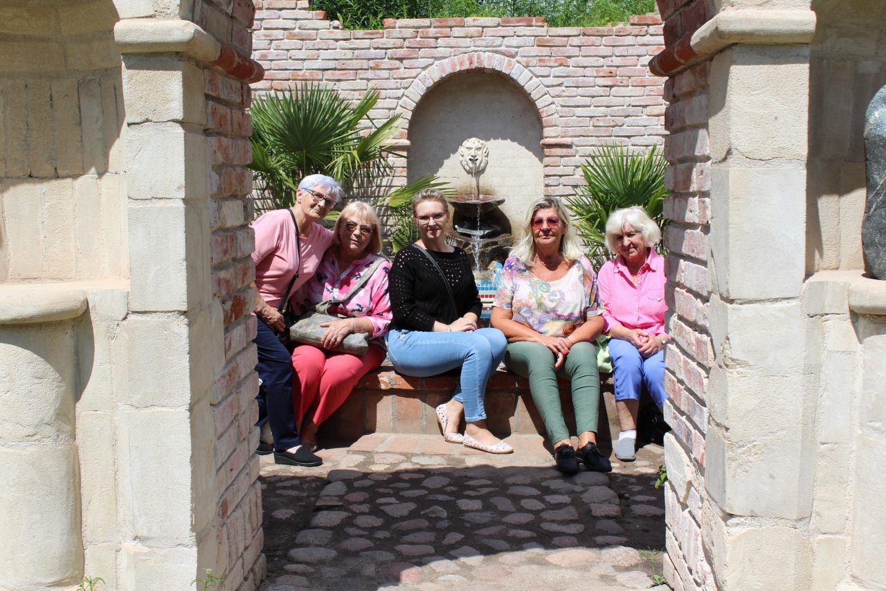 Warsztaty Na spotkanie z naturą Dziennego Domu ,,Senior+ w Olszewie-Borkach - zdjęcie #18 - eOstroleka.pl