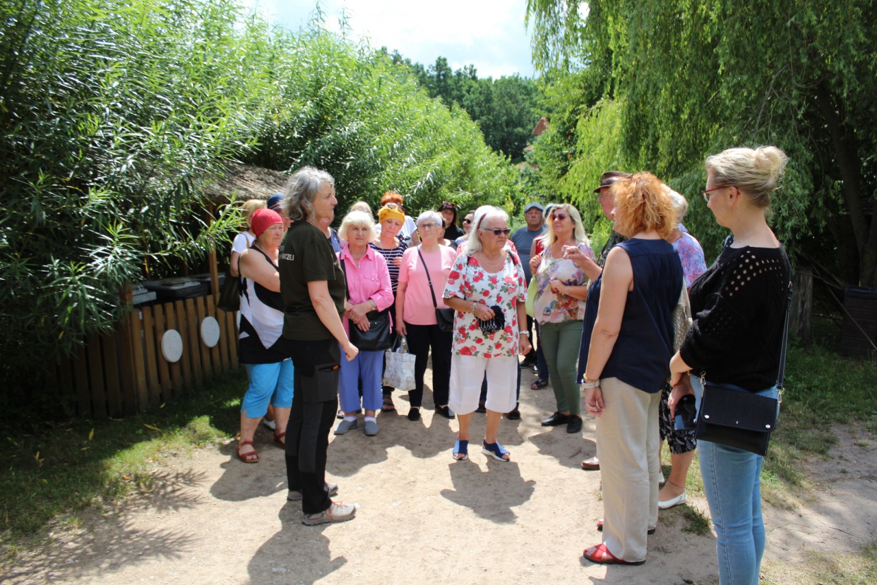Warsztaty Na spotkanie z naturą Dziennego Domu ,,Senior+ w Olszewie-Borkach - zdjęcie #17 - eOstroleka.pl