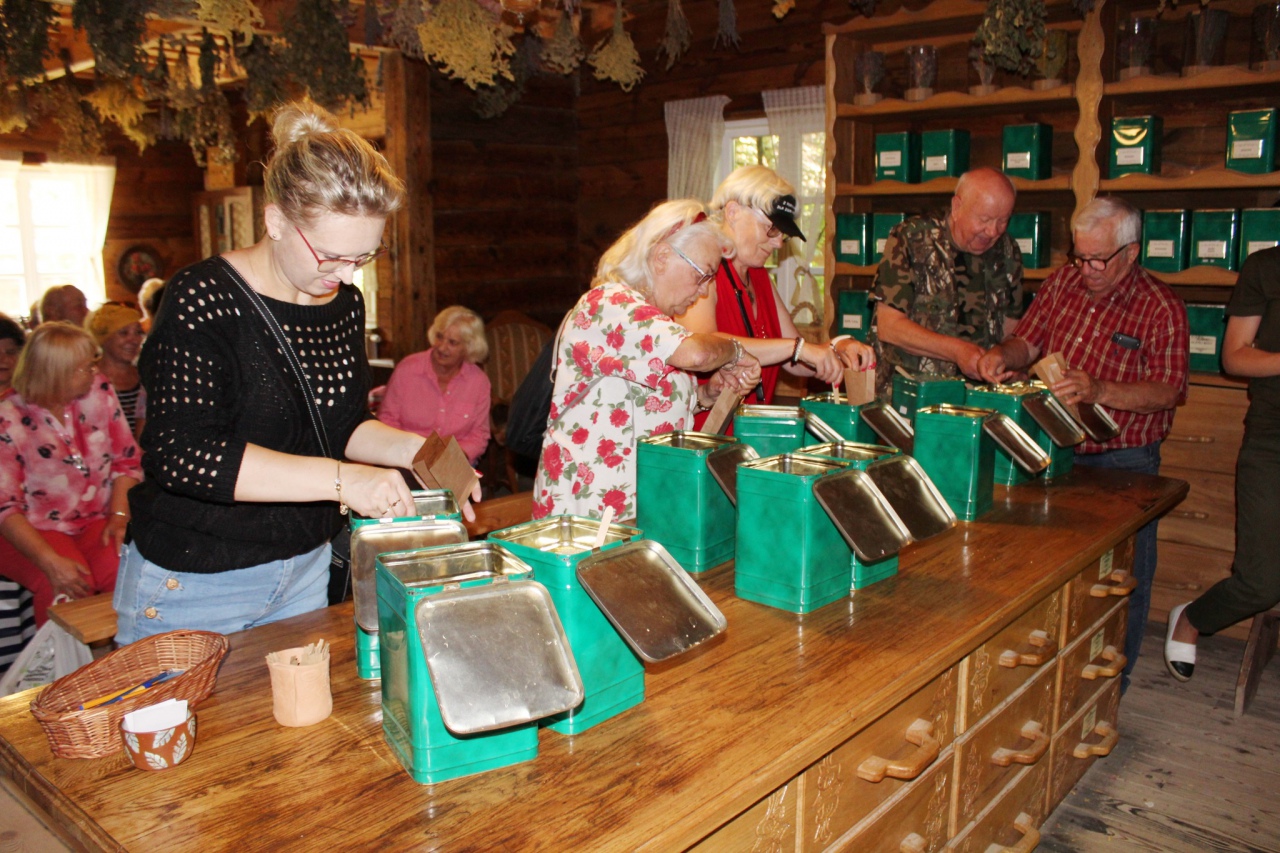 Warsztaty Na spotkanie z naturą Dziennego Domu ,,Senior+ w Olszewie-Borkach - zdjęcie #16 - eOstroleka.pl