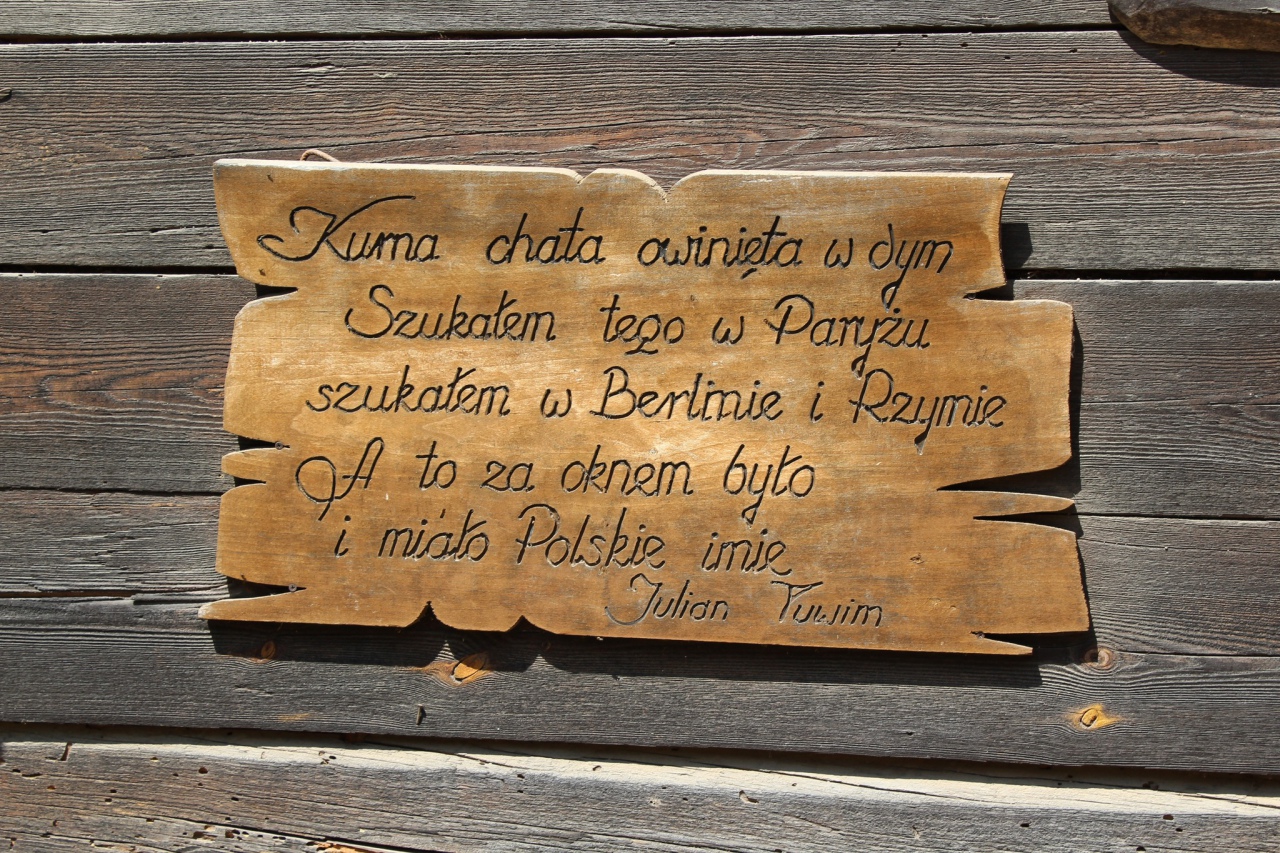 Warsztaty Na spotkanie z naturą Dziennego Domu ,,Senior+ w Olszewie-Borkach - zdjęcie #13 - eOstroleka.pl