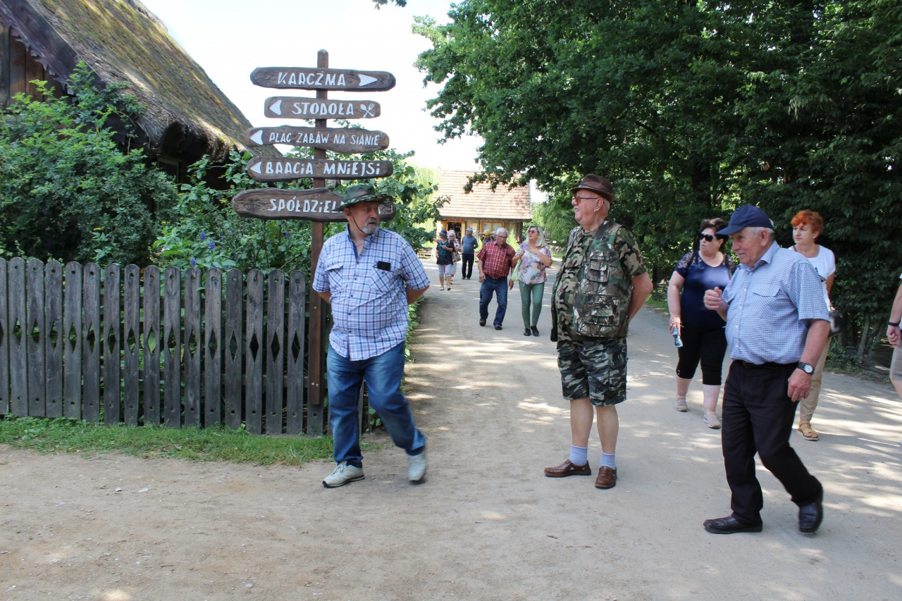 Warsztaty Na spotkanie z naturą Dziennego Domu ,,Senior+ w Olszewie-Borkach - zdjęcie #12 - eOstroleka.pl