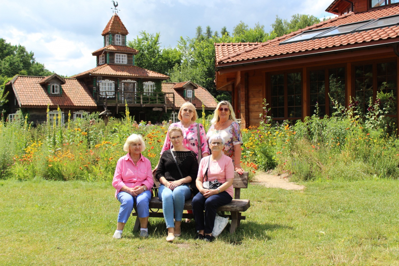 Warsztaty Na spotkanie z naturą Dziennego Domu ,,Senior+ w Olszewie-Borkach - zdjęcie #9 - eOstroleka.pl