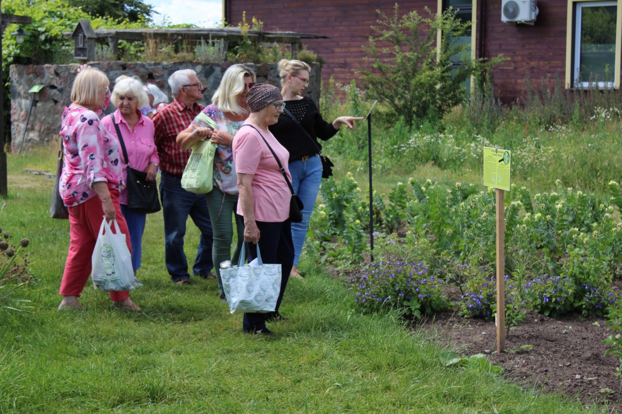 Warsztaty Na spotkanie z naturą Dziennego Domu ,,Senior+ w Olszewie-Borkach - zdjęcie #7 - eOstroleka.pl