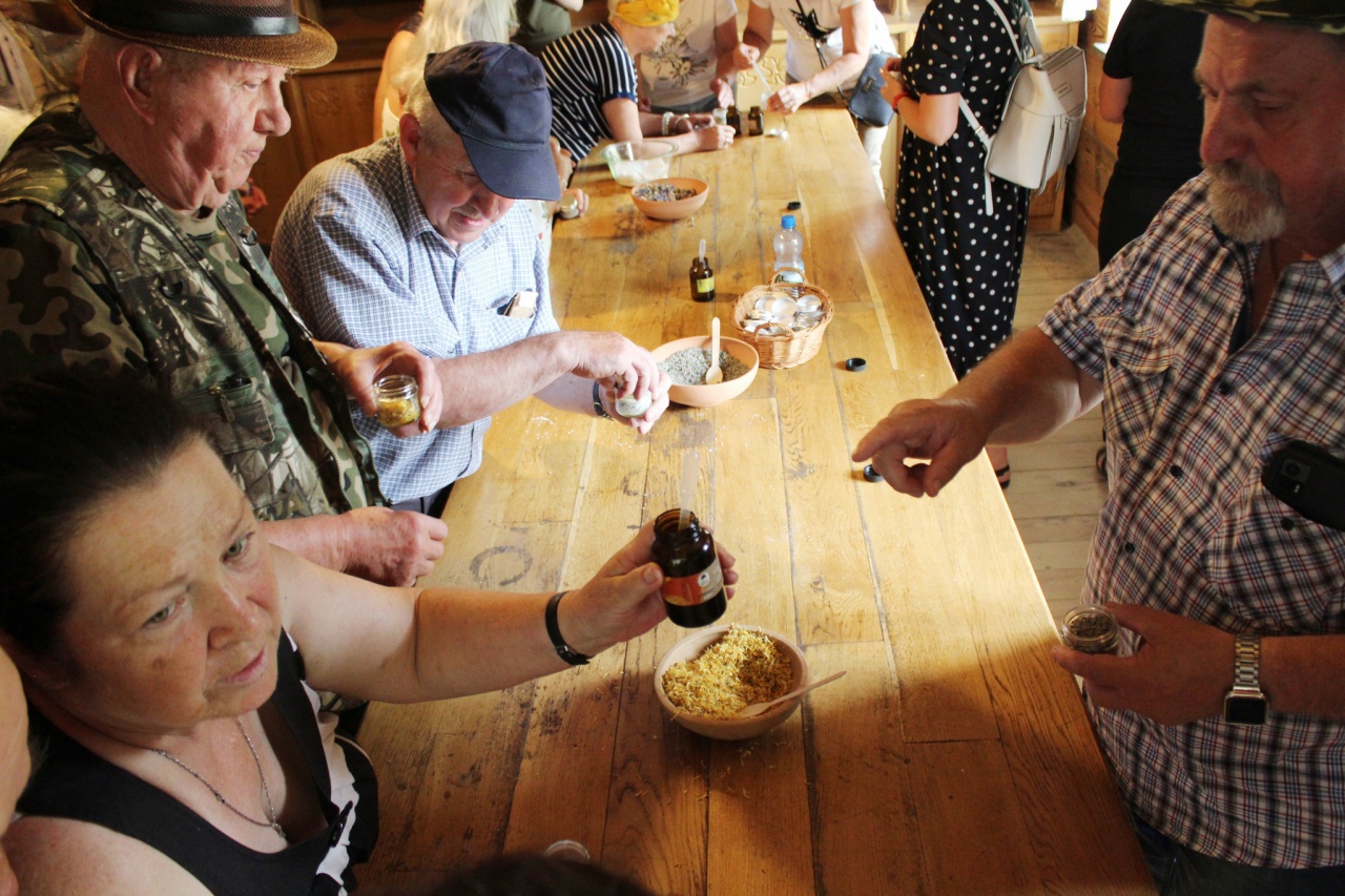 Warsztaty Na spotkanie z naturą Dziennego Domu ,,Senior+ w Olszewie-Borkach - zdjęcie #6 - eOstroleka.pl