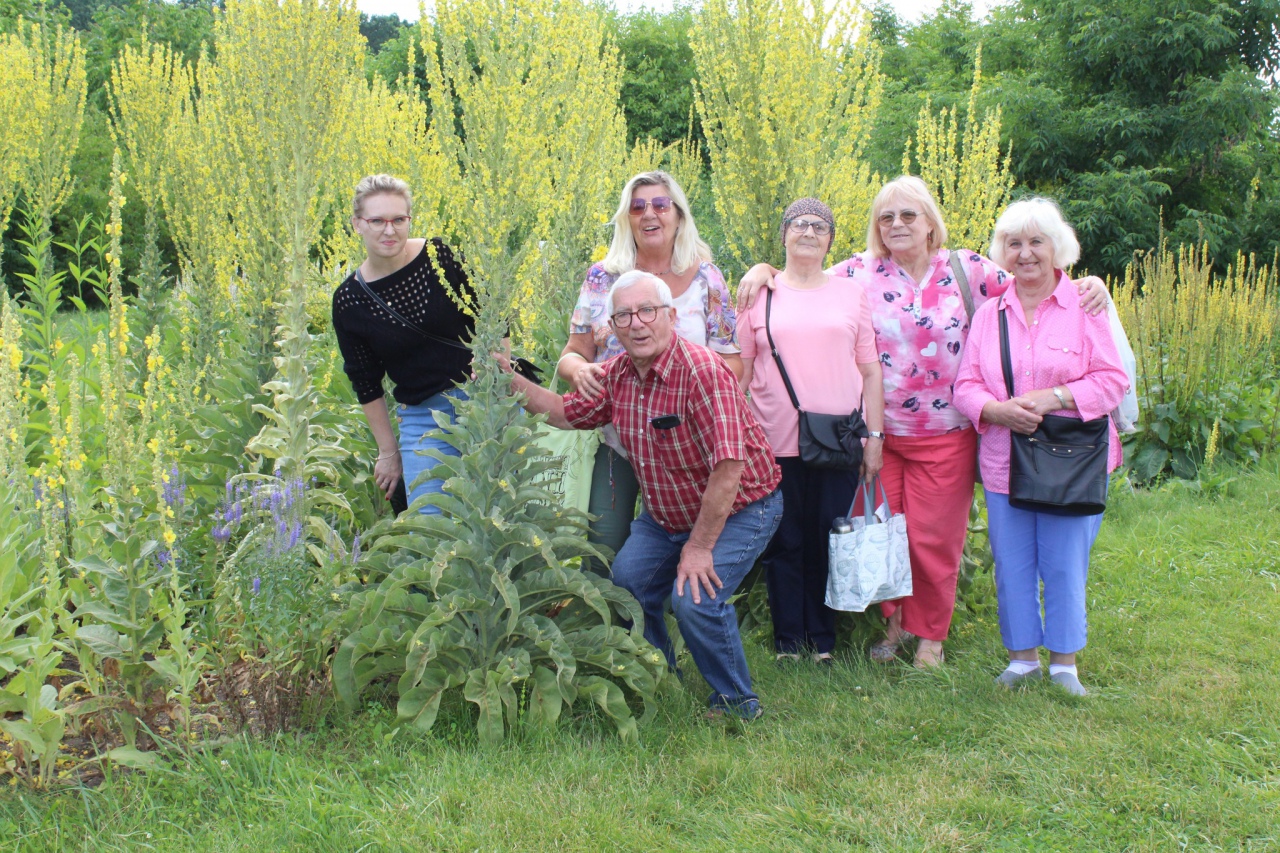 Warsztaty Na spotkanie z naturą Dziennego Domu ,,Senior+ w Olszewie-Borkach - zdjęcie #5 - eOstroleka.pl
