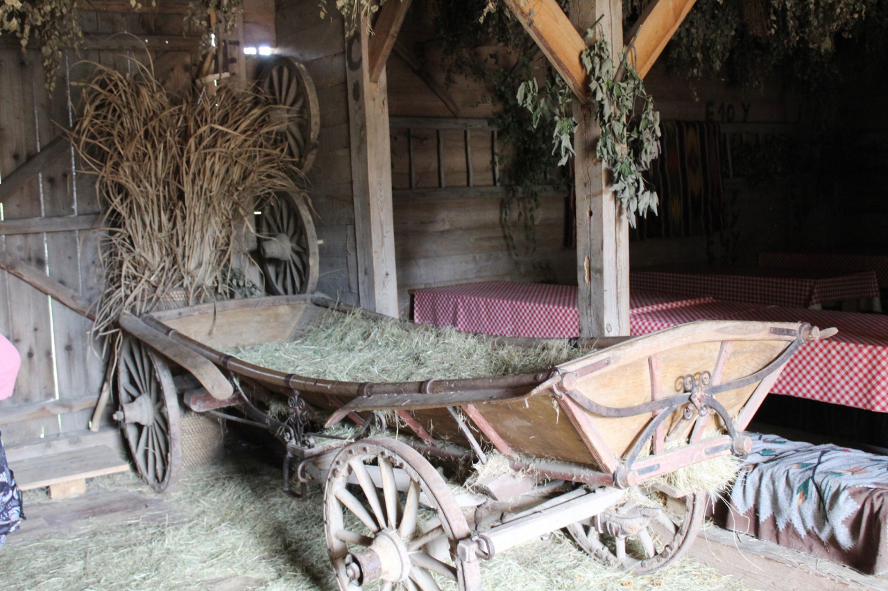 Warsztaty Na spotkanie z naturą Dziennego Domu ,,Senior+ w Olszewie-Borkach - zdjęcie #4 - eOstroleka.pl