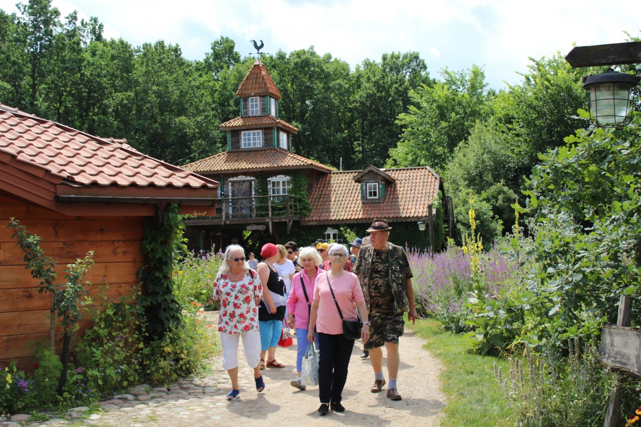 Warsztaty Na spotkanie z naturą Dziennego Domu ,,Senior+ w Olszewie-Borkach - zdjęcie #3 - eOstroleka.pl