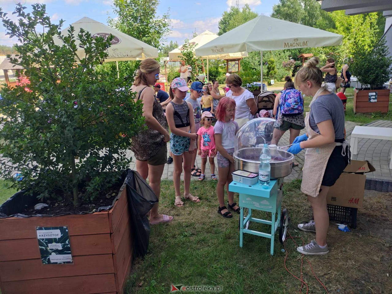 Smaki Natury w Multimedialnym Centrum Natura [15.07.2023] - zdjęcie #18 - eOstroleka.pl
