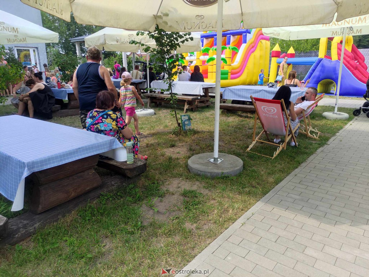 Smaki Natury w Multimedialnym Centrum Natura [15.07.2023] - zdjęcie #8 - eOstroleka.pl