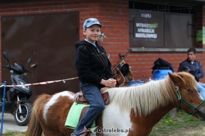 Festyn Dzieci Polskich(15.05.2011) - zdjęcie #39 - eOstroleka.pl