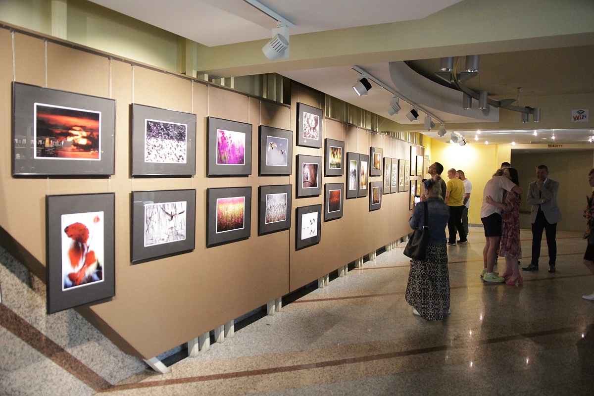 Wernisaż fotografii Anny Suchcikiej Bez światło-cienia w Ostrołęckim Centrum Kultury [21.07.2023] - zdjęcie #19 - eOstroleka.pl