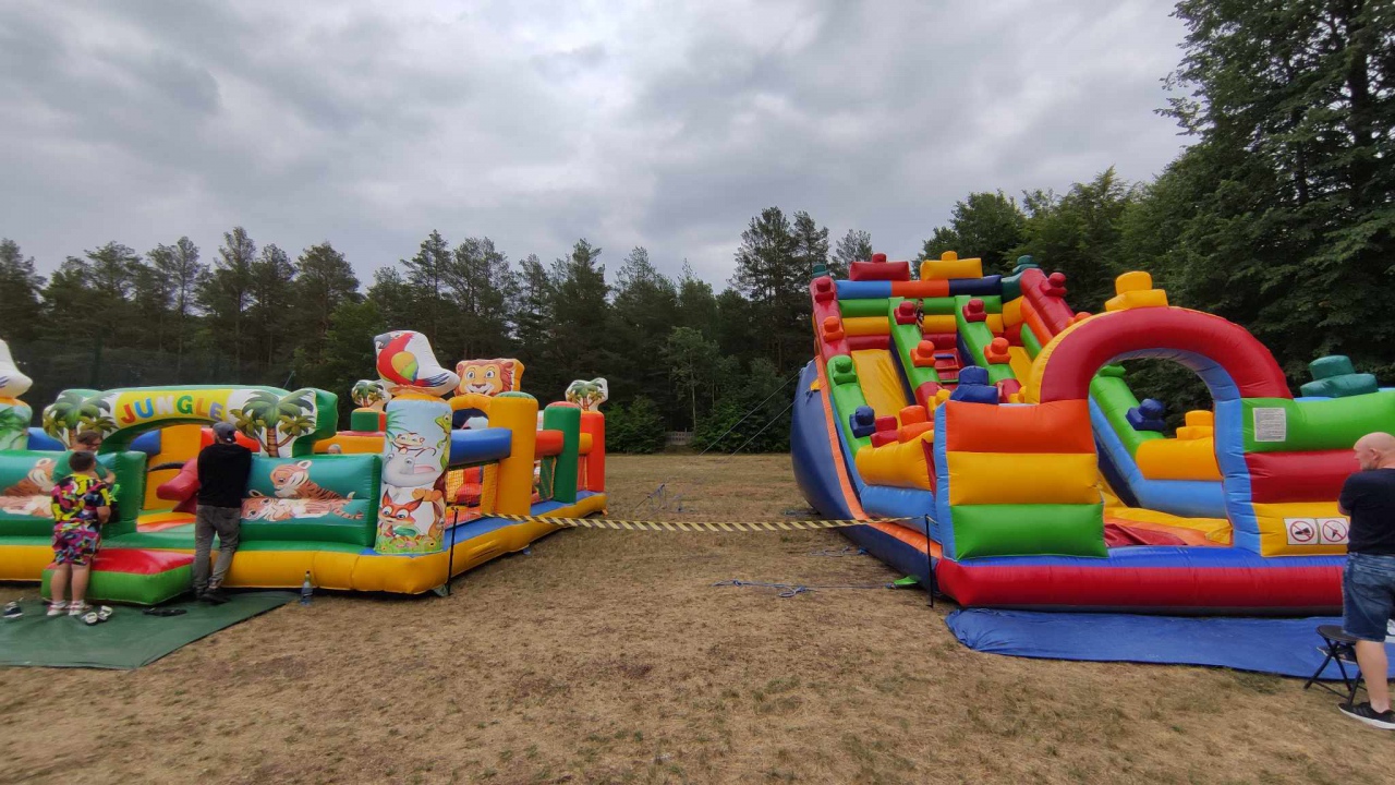 Piknik wiejski w Czarni [23.07.2023] - zdjęcie #12 - eOstroleka.pl