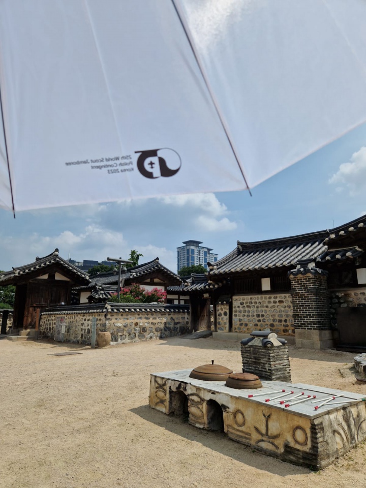 Ostrołęccy harcerze w Korei Południowej - zdjęcie #11 - eOstroleka.pl