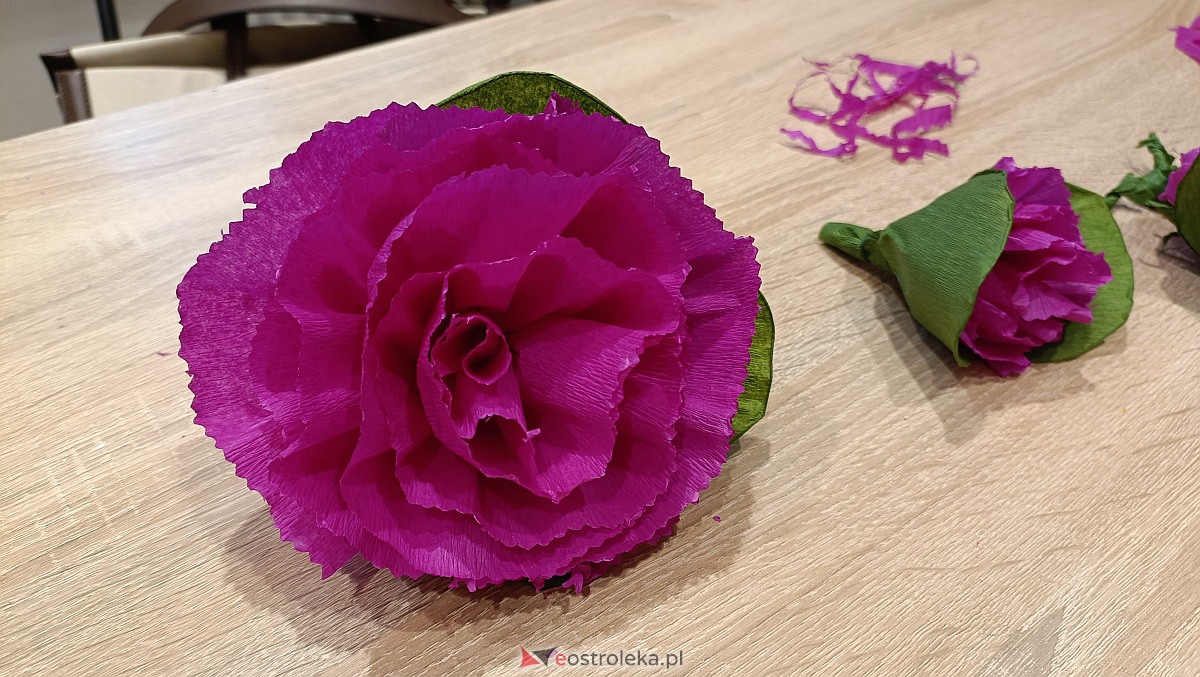 Warsztaty Etnodizajn po kurpiowsku - Malwa u płota - zdjęcie #6 - eOstroleka.pl