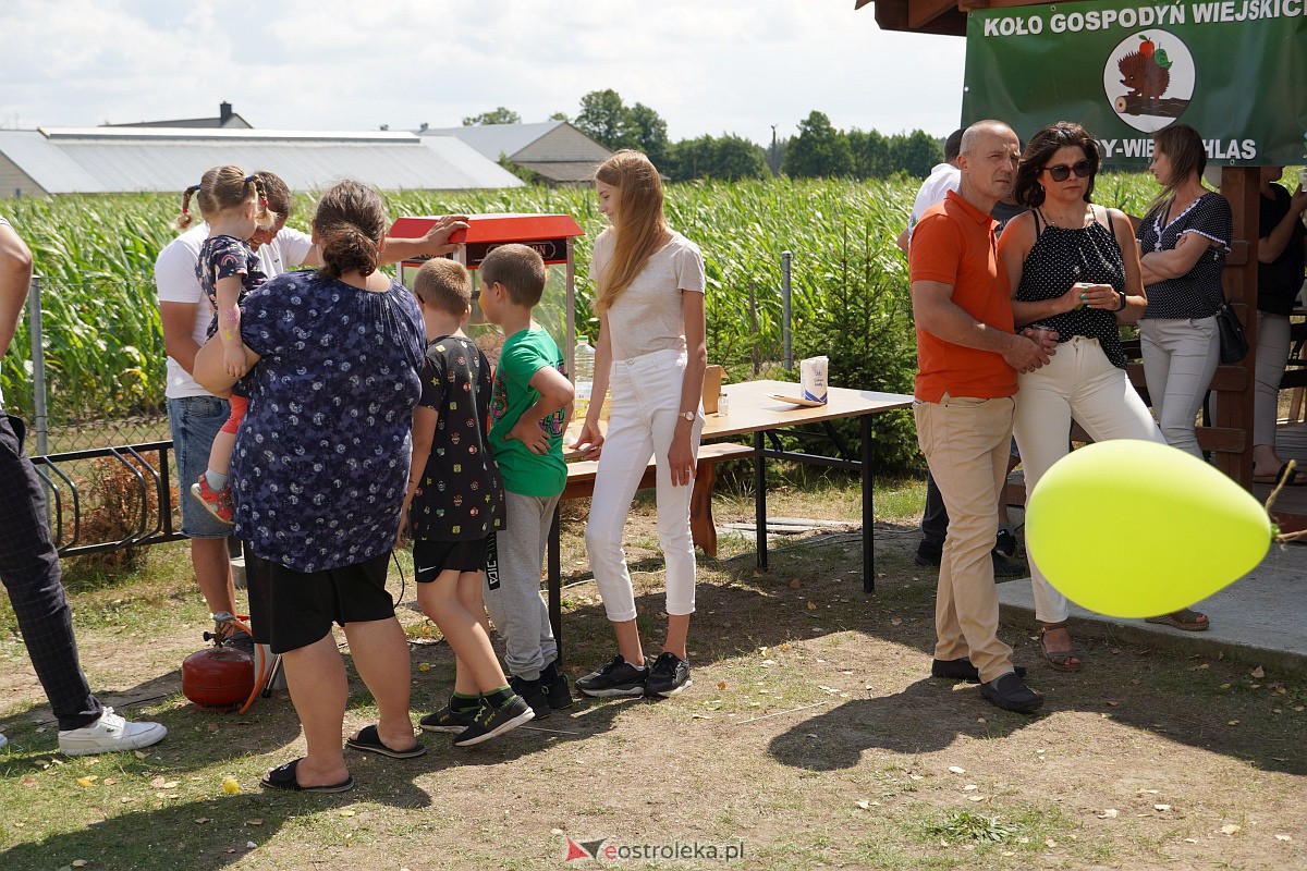 Rodzinny pikniki profilaktyczny KGW Żebry-Wierzchlas [30.07.2023] - zdjęcie #36 - eOstroleka.pl