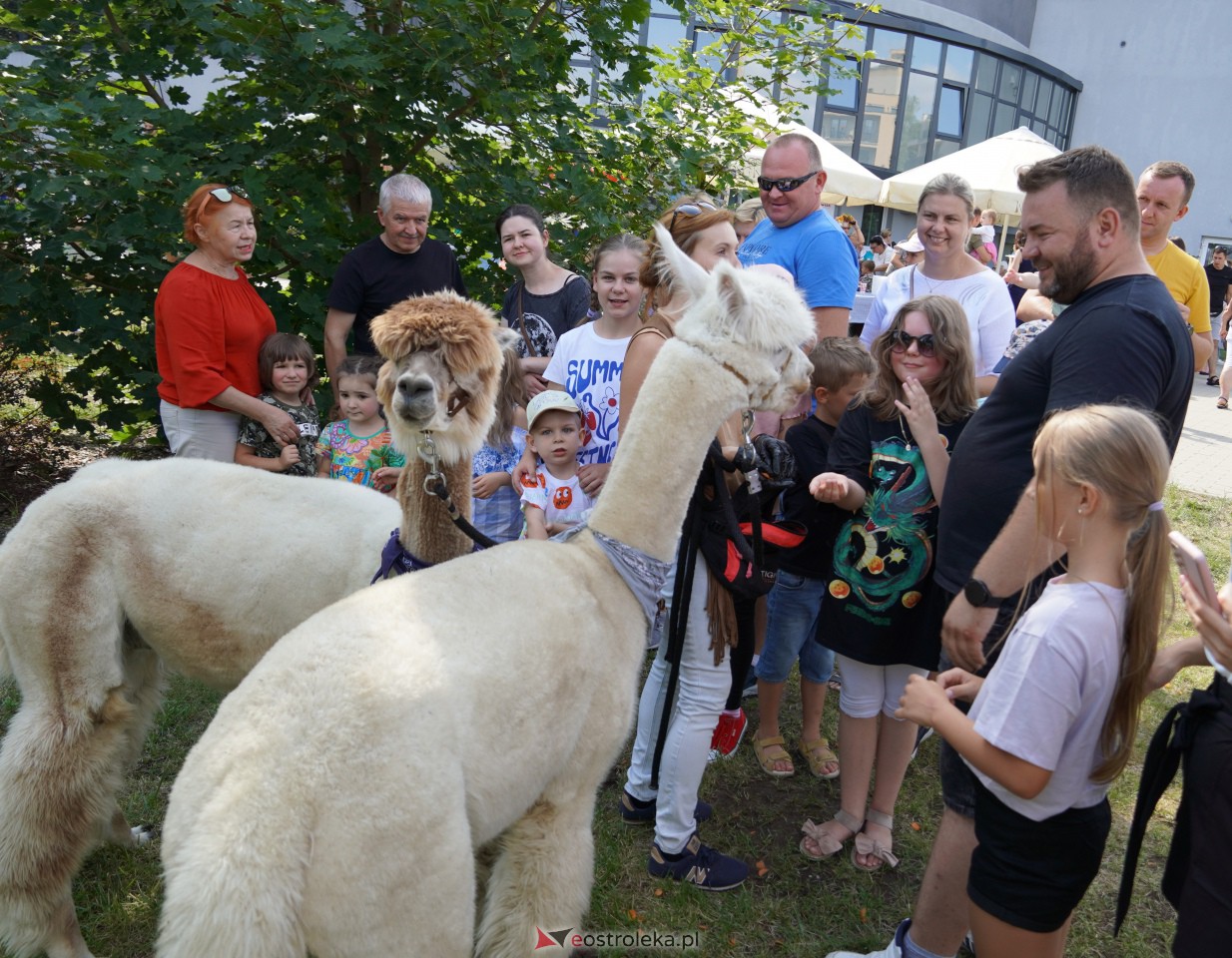 Smaki Natury i „Aktywny Senior” w Multimedialnym Centrum Natura [30.07.2023] - zdjęcie #57 - eOstroleka.pl