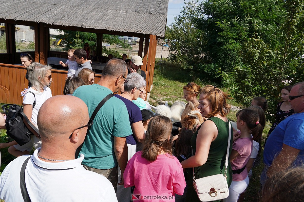 Smaki Natury i „Aktywny Senior” w Multimedialnym Centrum Natura [30.07.2023] - zdjęcie #31 - eOstroleka.pl