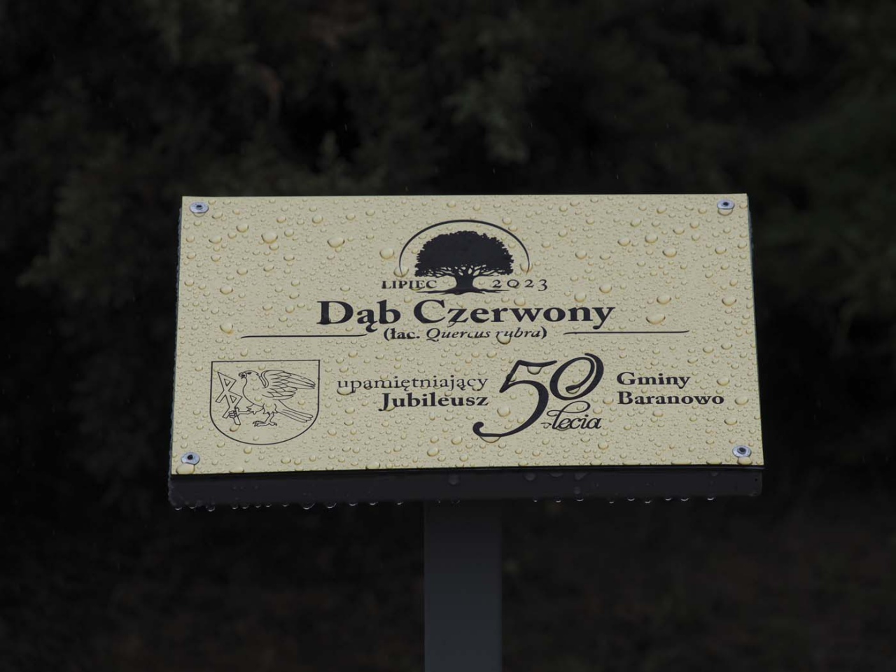 Gmina Baranowo uroczyście świętowała swój jubileusz [02.08.2023] - zdjęcie #37 - eOstroleka.pl