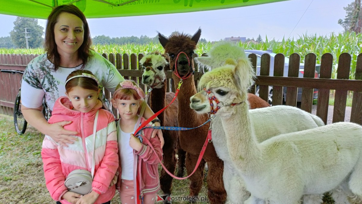 Festyn Tańce, hulańce w Golance [05.08.2023] - zdjęcie #14 - eOstroleka.pl