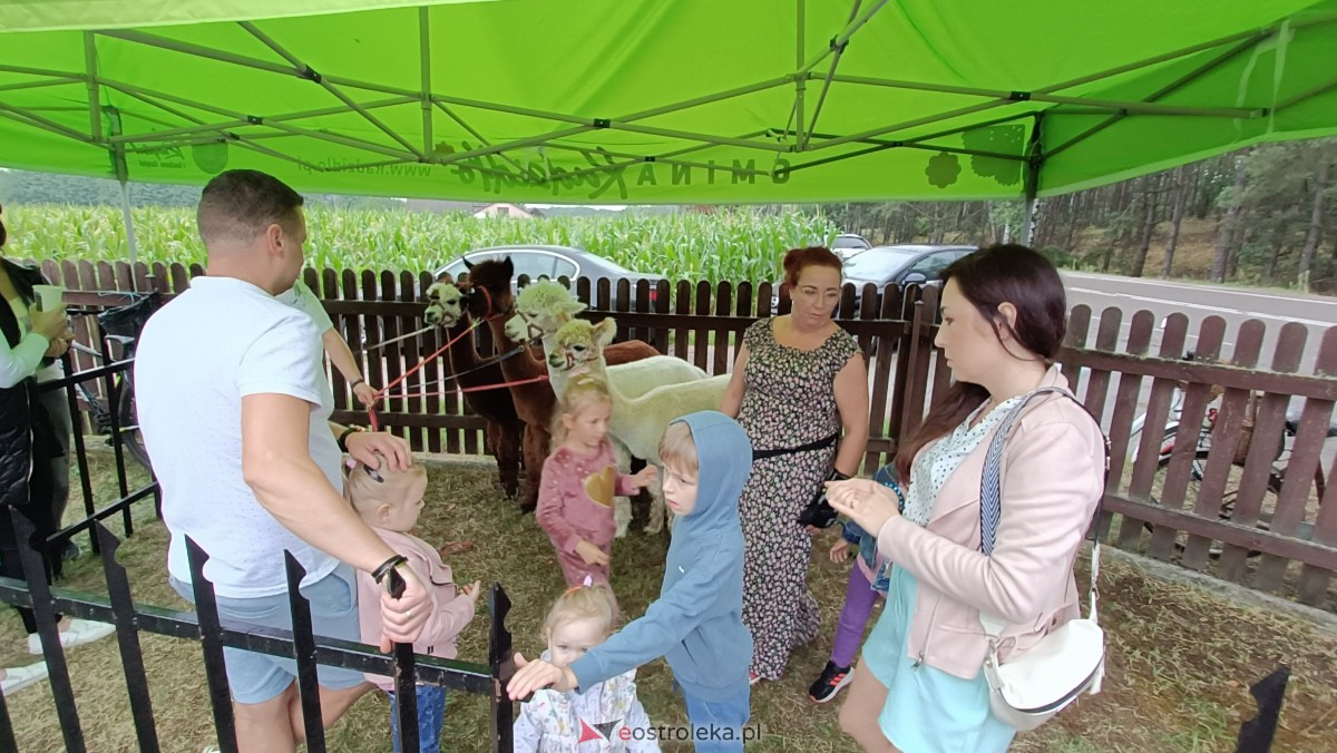 Festyn Tańce, hulańce w Golance [05.08.2023] - zdjęcie #49 - eOstroleka.pl