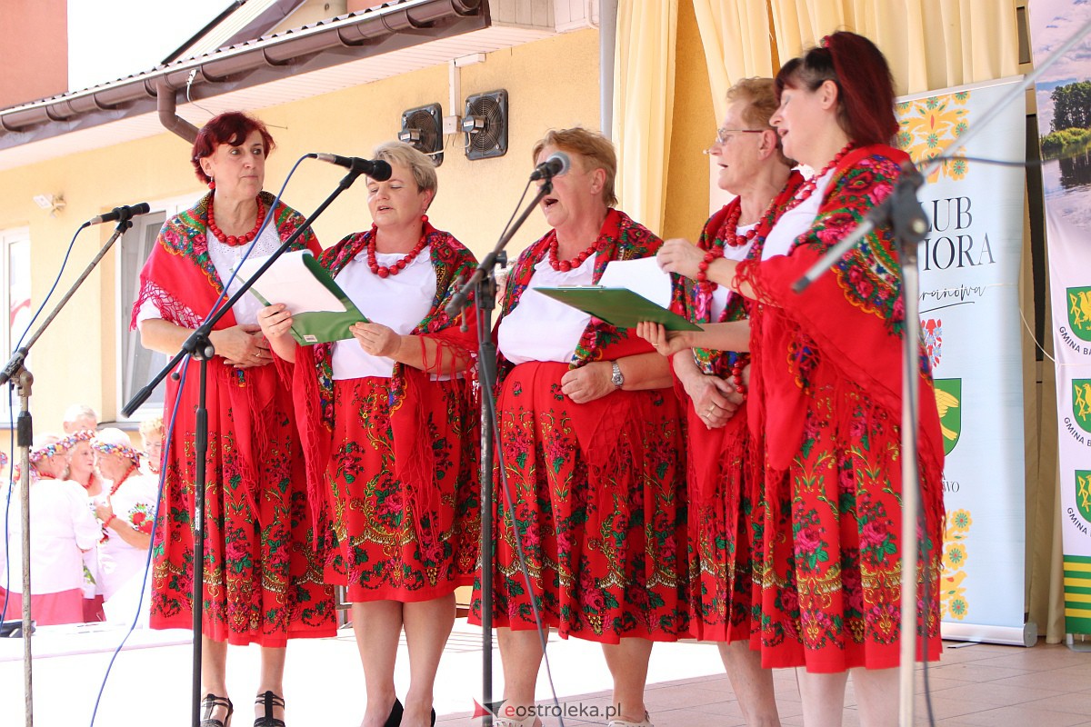 XV Przegląd Piosenki Klubów Seniora w Baranowie [06.08.2023] - zdjęcie #31 - eOstroleka.pl